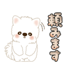 白いわんこ 2025 「いつもよく使う言葉」（個別スタンプ：29）