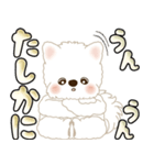 白いわんこ 2025 「いつもよく使う言葉」（個別スタンプ：34）