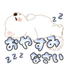 白いわんこ 2025 「いつもよく使う言葉」（個別スタンプ：37）