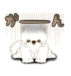 白いわんこ 2025 「いつもよく使う言葉」（個別スタンプ：40）