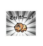 動くしょぼいたぬき（個別スタンプ：15）