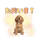 ふわふわアメコカ♡毎日スタンプ（個別スタンプ：9）