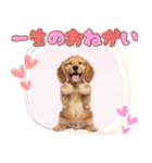 ふわふわアメコカ♡毎日スタンプ（個別スタンプ：10）