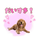 ふわふわアメコカ♡毎日スタンプ（個別スタンプ：18）