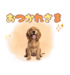 ふわふわアメコカ♡毎日スタンプ（個別スタンプ：26）