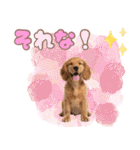 ふわふわアメコカ♡毎日スタンプ（個別スタンプ：32）