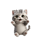 【繁體字】 アメリカンショートヘア 1（個別スタンプ：4）