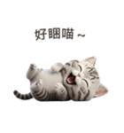 【繁體字】 アメリカンショートヘア 1（個別スタンプ：6）