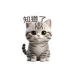 【繁體字】 アメリカンショートヘア 1（個別スタンプ：7）