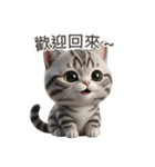【繁體字】 アメリカンショートヘア 1（個別スタンプ：9）