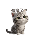 【繁體字】 アメリカンショートヘア 1（個別スタンプ：15）