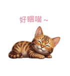 【繁體字】 ベンガル スタンプ 2（個別スタンプ：6）