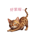 【繁體字】 ベンガル スタンプ 2（個別スタンプ：13）