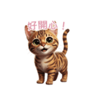 【繁體字】 ベンガル スタンプ 2（個別スタンプ：14）