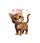 【繁體字】 ベンガル スタンプ 2（個別スタンプ：15）