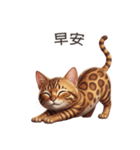 【繁體字】 ベンガル スタンプ 1（個別スタンプ：2）
