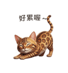 【繁體字】 ベンガル スタンプ 1（個別スタンプ：13）