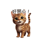 【繁體字】 ベンガル スタンプ 1（個別スタンプ：14）