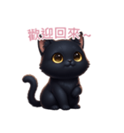 【繁體字】 黒猫 スタンプ 2（個別スタンプ：9）