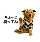 ゴールデンレトリバー牛着ぐるみ★即返信（個別スタンプ：1）