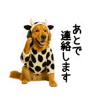 ゴールデンレトリバー牛着ぐるみ★即返信（個別スタンプ：2）