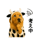 ゴールデンレトリバー牛着ぐるみ★即返信（個別スタンプ：3）