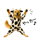 ゴールデンレトリバー牛着ぐるみ★即返信（個別スタンプ：5）