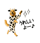 ゴールデンレトリバー牛着ぐるみ★即返信（個別スタンプ：7）