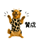 ゴールデンレトリバー牛着ぐるみ★即返信（個別スタンプ：9）