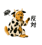 ゴールデンレトリバー牛着ぐるみ★即返信（個別スタンプ：10）