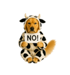 ゴールデンレトリバー牛着ぐるみ★即返信（個別スタンプ：12）