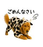 ゴールデンレトリバー牛着ぐるみ★即返信（個別スタンプ：14）