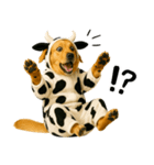 ゴールデンレトリバー牛着ぐるみ★即返信（個別スタンプ：19）