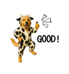 ゴールデンレトリバー牛着ぐるみ★即返信（個別スタンプ：24）