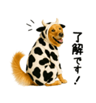 ゴールデンレトリバー牛着ぐるみ★即返信（個別スタンプ：25）