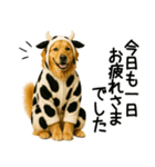 ゴールデンレトリバー牛着ぐるみ★即返信（個別スタンプ：30）