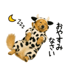 ゴールデンレトリバー牛着ぐるみ★即返信（個別スタンプ：32）