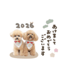 とのまろちゃん♡シーズンplan（個別スタンプ：2）