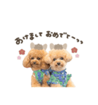 とのまろちゃん♡シーズンplan（個別スタンプ：3）