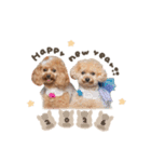 とのまろちゃん♡シーズンplan（個別スタンプ：4）