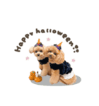 とのまろちゃん♡シーズンplan（個別スタンプ：12）