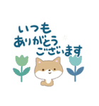 ちびシバ【ナチュラルガーリー】（個別スタンプ：28）