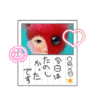 cozo cobun「ホントのウソ」アートスタンプ（個別スタンプ：18）