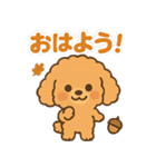 秋♡ず～っと使える♡トイプードル（個別スタンプ：1）