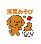秋♡ず～っと使える♡トイプードル（個別スタンプ：2）