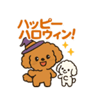秋♡ず～っと使える♡トイプードル（個別スタンプ：3）