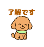 秋♡ず～っと使える♡トイプードル（個別スタンプ：4）