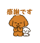 秋♡ず～っと使える♡トイプードル（個別スタンプ：6）