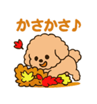 秋♡ず～っと使える♡トイプードル（個別スタンプ：7）
