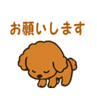 秋♡ず～っと使える♡トイプードル（個別スタンプ：8）